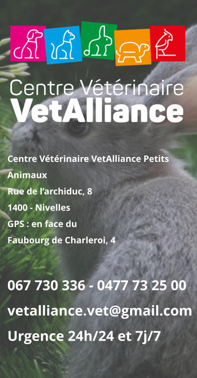 Centre Vétérinaire VetAlliance Petits AnimauxRue de l’archiduc, 81400 - NivellesGPS : en face duFaubourg de Charleroi, 4 067 730 336 - 0477 73 25 00vetalliance.vet@gmail.com Urgence 24h/24 et 7j/7