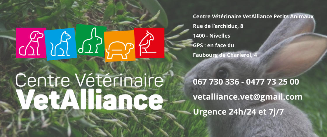 Centre Vétérinaire VetAlliance Petits AnimauxRue de l’archiduc, 81400 - NivellesGPS : en face duFaubourg de Charleroi, 4 067 730 336 - 0477 73 25 00vetalliance.vet@gmail.com Urgence 24h/24 et 7j/7