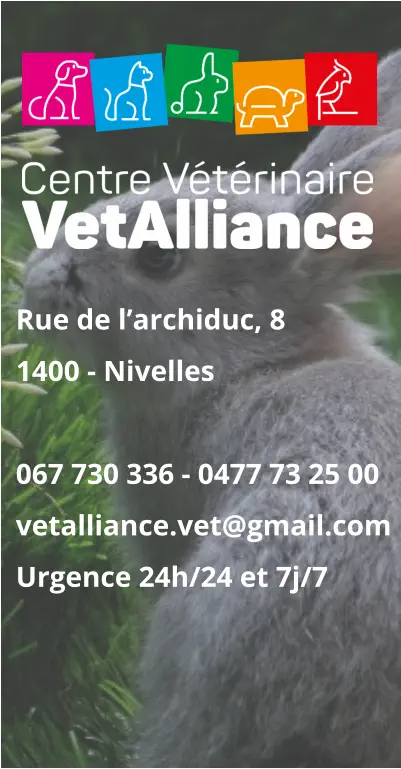 Rue de l’archiduc, 81400 - Nivelles 067 730 336 - 0477 73 25 00vetalliance.vet@gmail.com Urgence 24h/24 et 7j/7