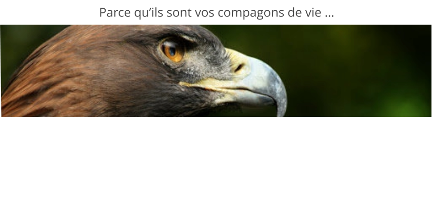 Parce qu’ils sont vos compagons de vie …