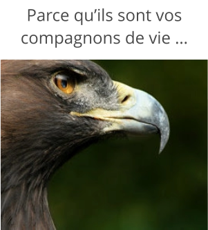 Parce qu’ils sont vos compagnons de vie …