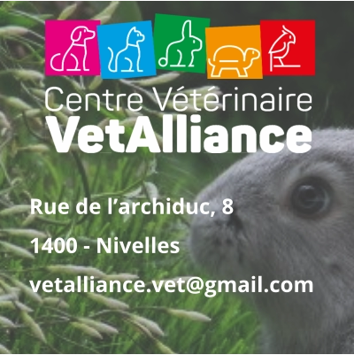 Rue de l’archiduc, 81400 - Nivellesvetalliance.vet@gmail.com