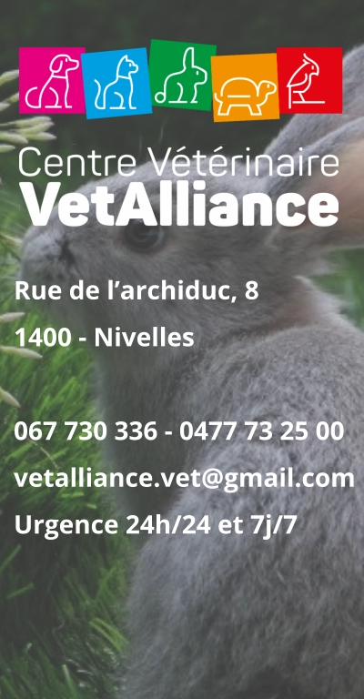 Rue de l’archiduc, 81400 - Nivelles 067 730 336 - 0477 73 25 00vetalliance.vet@gmail.com Urgence 24h/24 et 7j/7