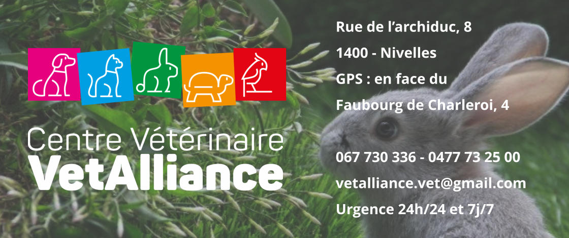 Rue de l’archiduc, 81400 - NivellesGPS : en face duFaubourg de Charleroi, 4 067 730 336 - 0477 73 25 00vetalliance.vet@gmail.com Urgence 24h/24 et 7j/7