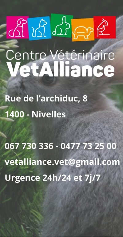 Rue de l’archiduc, 81400 - Nivelles 067 730 336 - 0477 73 25 00vetalliance.vet@gmail.com Urgence 24h/24 et 7j/7