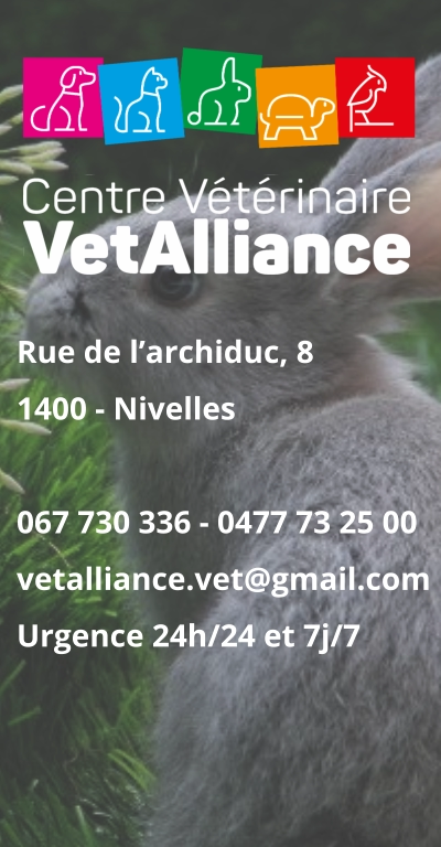 Rue de l’archiduc, 81400 - Nivelles 067 730 336 - 0477 73 25 00vetalliance.vet@gmail.com Urgence 24h/24 et 7j/7