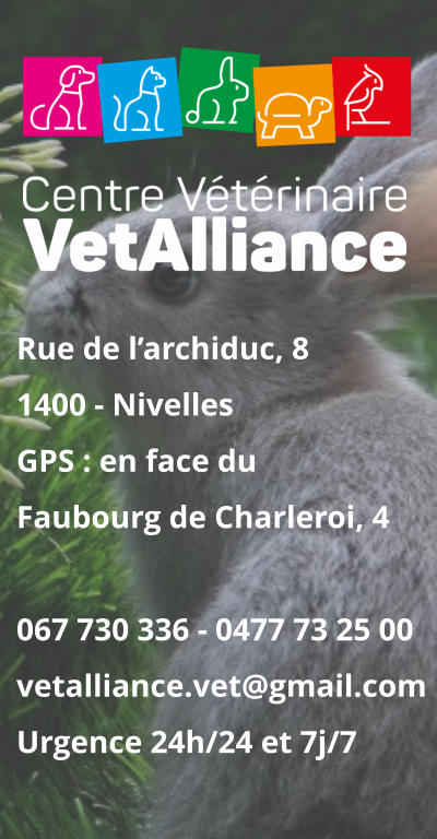 Rue de l’archiduc, 81400 - NivellesGPS : en face duFaubourg de Charleroi, 4 067 730 336 - 0477 73 25 00vetalliance.vet@gmail.com Urgence 24h/24 et 7j/7